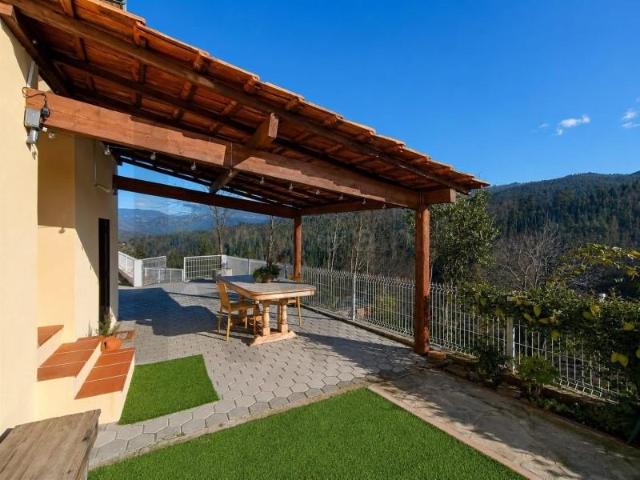 3 quarto, Sever do Vouga Sever do Vouga 105813060