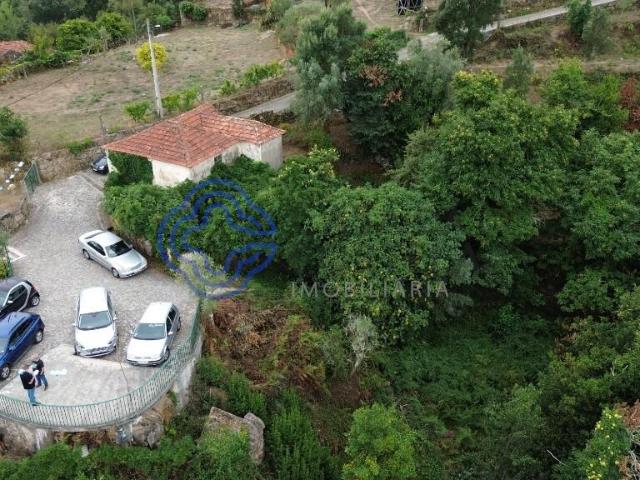 Quinta no Douro c/ 3 Ruínas 301m² ABC e Frente Rio