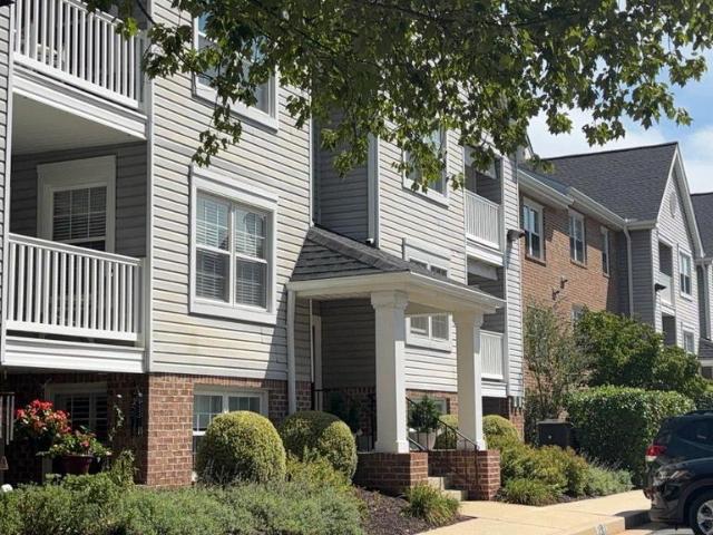 3 Rumford Drive # 303