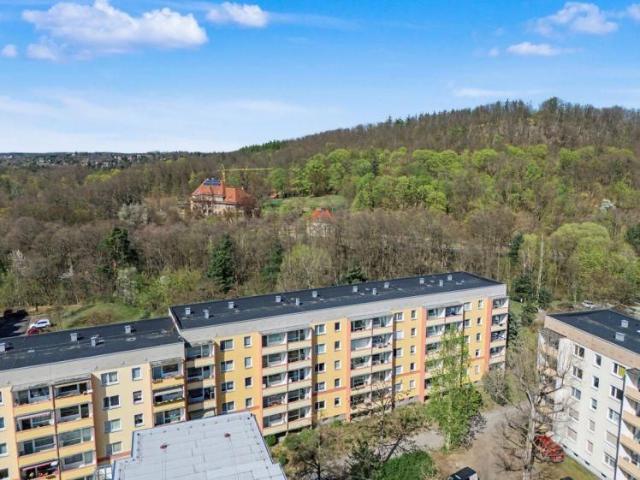 3 R. Wohnung am Waldrand Coswig*1.OG*Einbauküche*Südbalkon mit Markise*Erstbezug nach Sanierung
