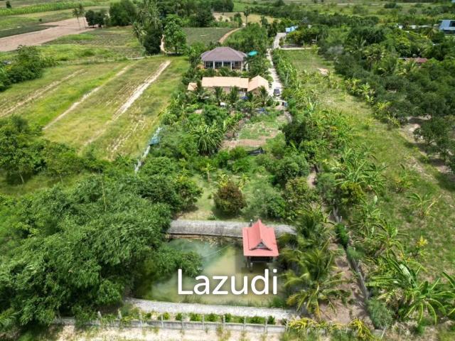3 Rai land 3 Bedrooms with guest house