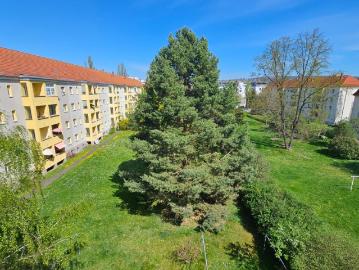 Gruna, Dresden, Striesen-Süd - Ausgestattete Küche