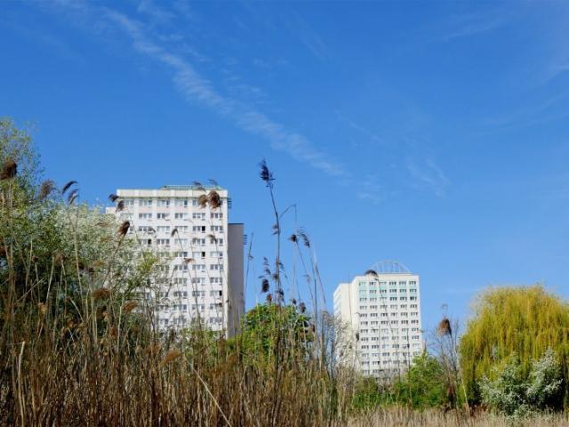 3 Raumwohnung am Neustädter See Erstbezug nach Sanierung