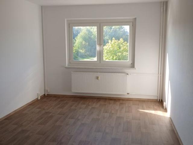3 Raumwohnung in Grünhufe!