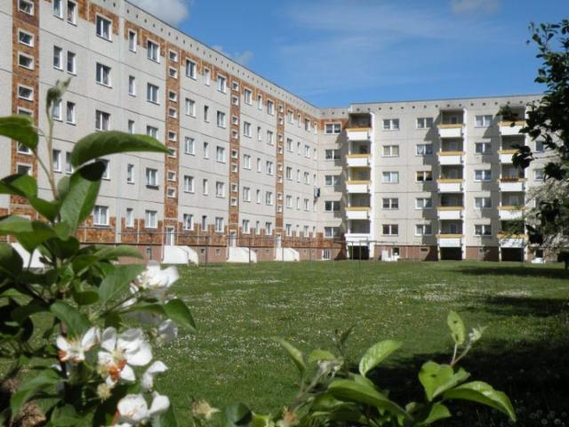 3 Raumwohnung in Knieper West!