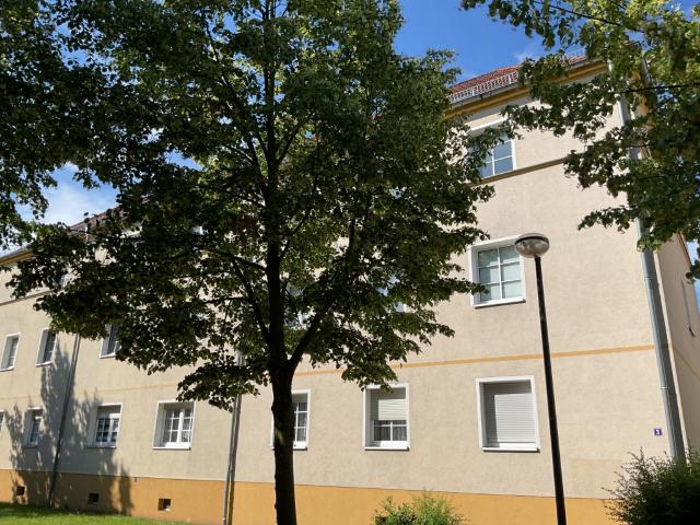 3 Raumwohnung in Sanierung