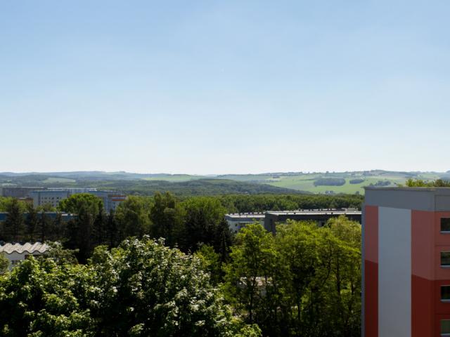 3 Raum Wohnung im grünen Hutholz