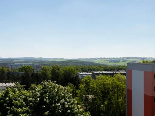3 Raum Wohnung im grünen Hutholz
