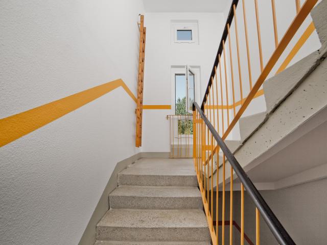 Frisch renovierte Familienwohnung mit Einzugsbonus