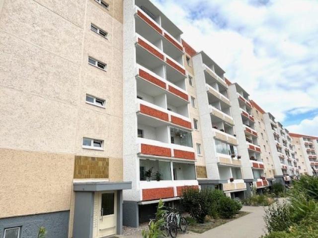 3 Raum Wohnung ohne Balkon ab September 2026