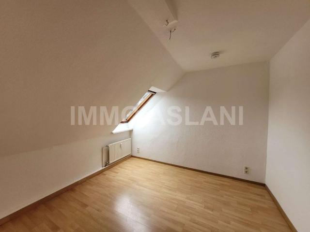3 Raum Wohnung stylische Wohnung mit Charme und Stadtparkblick in Limbach Oberfrohna