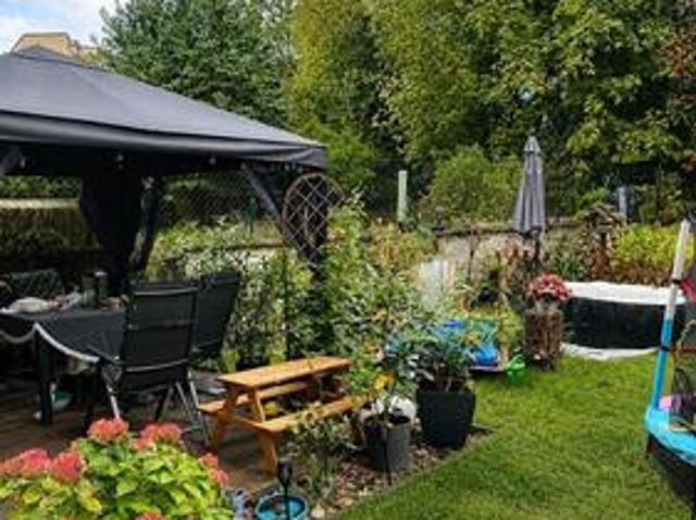 3 Raum Wohnung+Garten 15232 Frankfurt Oder keine Hunde erlaubt