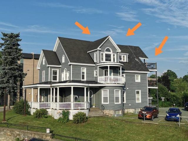 3½ rénové, vue unique et bain de soleil