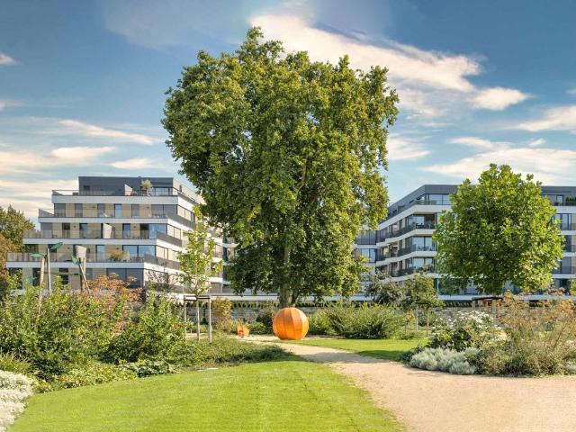 3 Room Apartment, modern, high quality, with balcony in the center of Dresden, Dresden Amsterdam Apartments for Rent