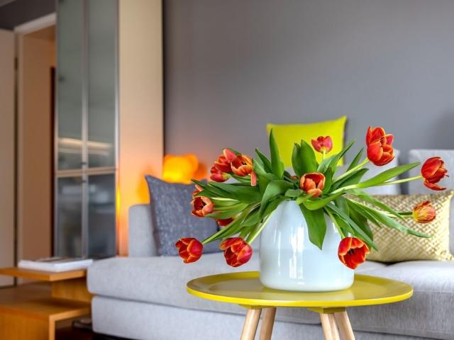 3 room apartment near Nymphenburg Castle park