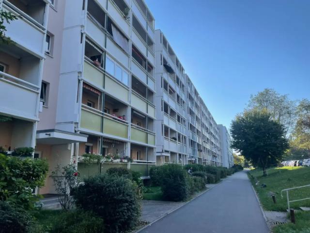 3 room apartment built in Kitchen & Wardrobe in Dresden for rent