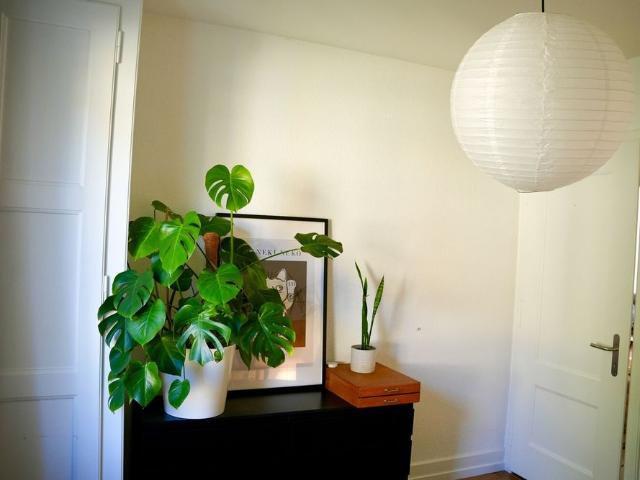 3 ROOM APARTMENT IN BERN MONBIJOU, FURNISHED, TEMPORARY