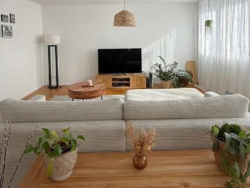 3½ room apartment in Brunnen SZ, furnished, temporary