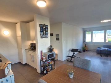 3 room apartment in Einigen BE, furnished, temporary
