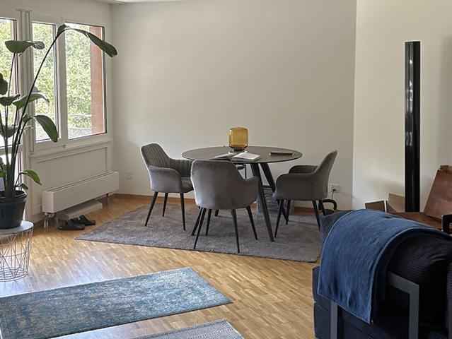 3 room apartment in Hünenberg See ZG, furnished, temporary