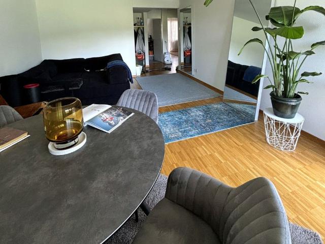 3 ROOM APARTMENT IN HÜNENBERG SEE ZG, FURNISHED, TEMPORARY