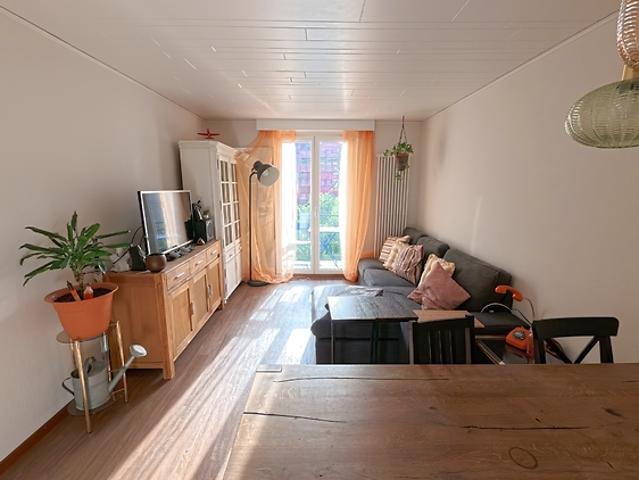 3½ room apartment in Luzern, furnished, temporary