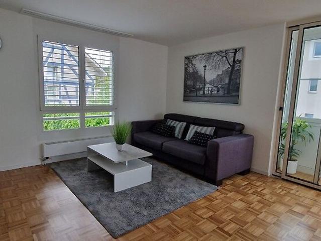 3½ room apartment in Langwiesen ZH, furnished, temporary