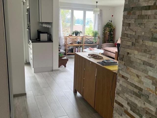 3 ROOM APARTMENT IN REICHENBACH IM KANDERTAL BE, FURNISHED, TEMPORARY