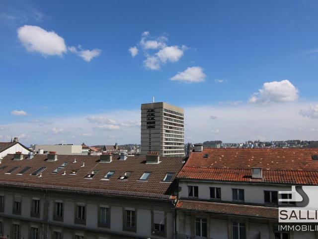 3½ ROOM APARTMENT IN THE CITY CENTER