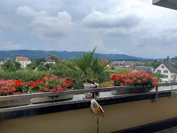 3½ room apartment in Würenlos AG, furnished, temporary