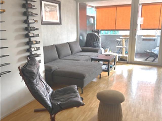 3½ room apartment in Wallisellen ZH, furnished, temporary