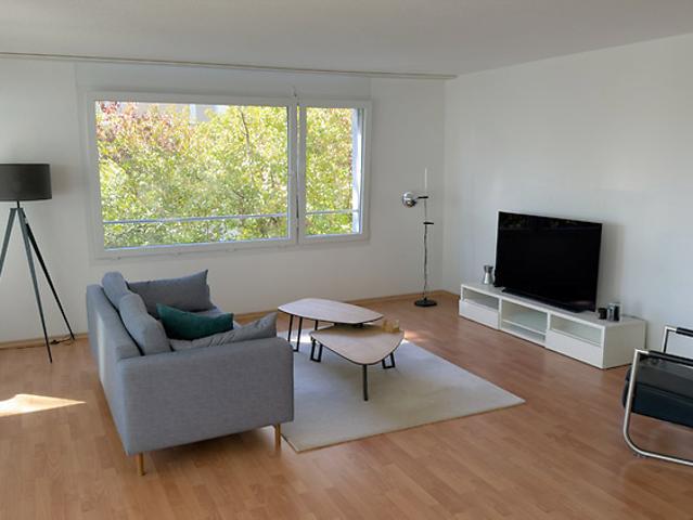 3½ room apartment in Zürich Kreis 11 Seebach, furnished, temporary