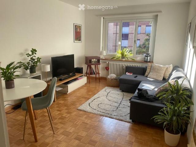 3 room Apartment to rent from October or November 2026