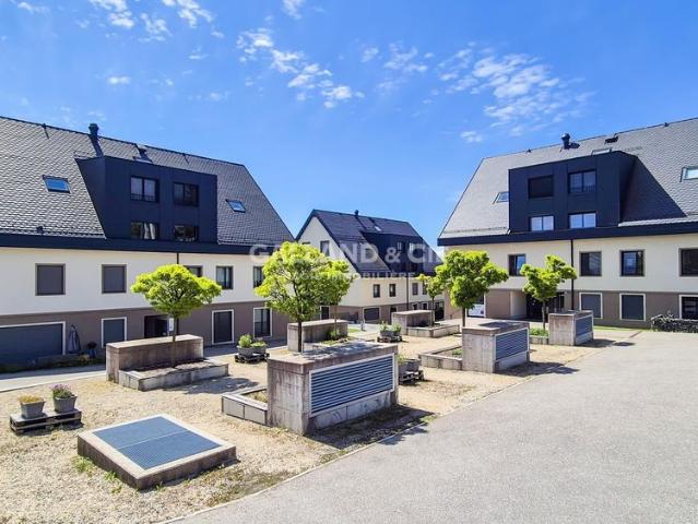 3½ room apartment