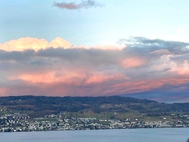3½ room attic apartment penthouse in Horgen ZH, furnished
