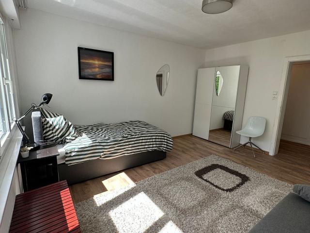 3 room flat with TV, WiFi, kitchen, shower/WC, furniture, washing machine and balcony, Stuttgart Amsterdam Apartments for Rent