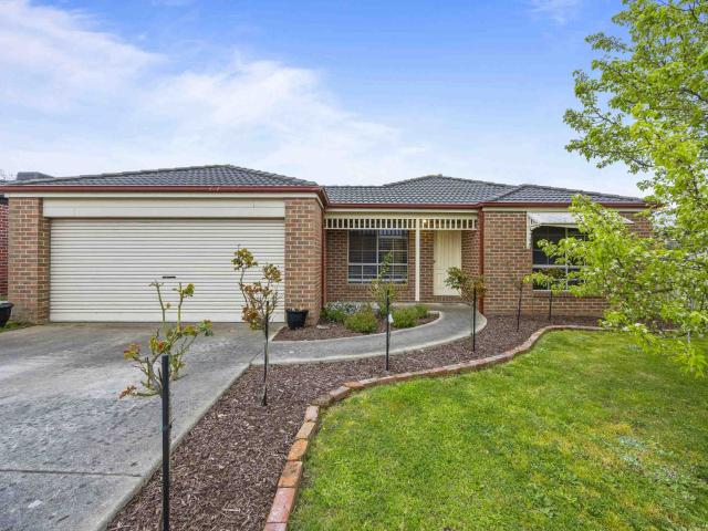 3 room house to let in 9 Riverview Court, Sebastopol