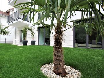 Apartment for rent in Dreieichring