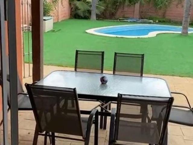 3 room luxury House for rent in Marbella, Andalusia