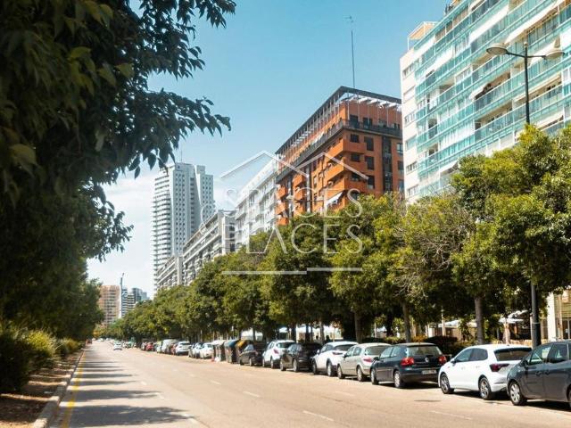 3 room luxury penthouse for rent in Valencia, Spain