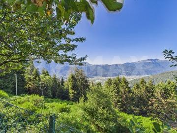 Sementina, Kreis Bellinzona, Bezirk Bellinzona, Tessin