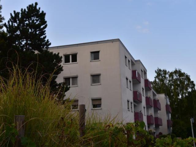 3 Schlafzimmer Villa Wiesbaden Wiesbaden 105451263