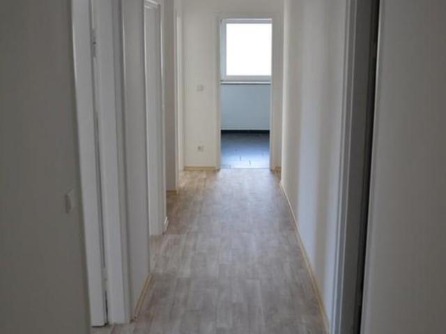 3 Schlafzimmer Wohnung Nürnberg Nürnberg 106006531
