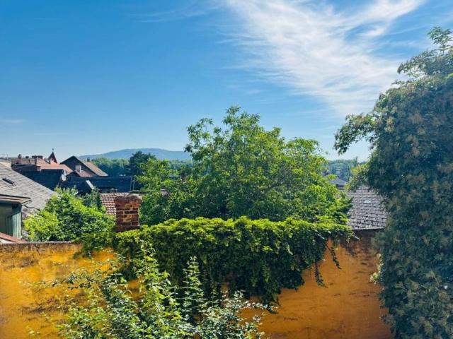 3 Schlafzimmer Wohnung Niederösterreich Niederösterreich 103597091