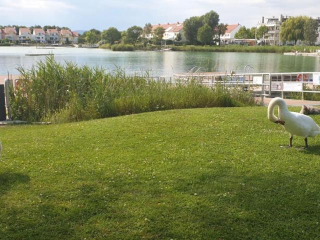 3 Schlafzimmer Wohnung Niederösterreich Niederösterreich 105470180