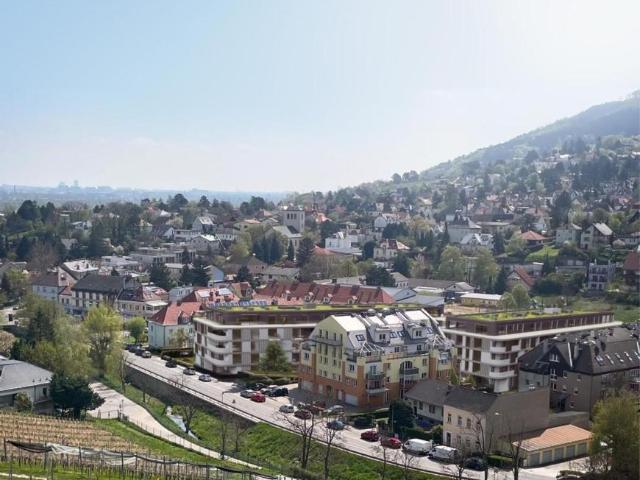 3 Schlafzimmer Wohnung Niederösterreich Niederösterreich 105056230