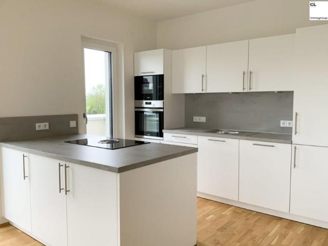 3 Schlafzimmer Wohnung Oberösterreich Oberösterreich 104108328