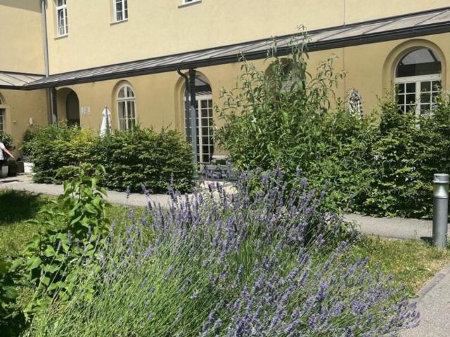 3 Schlafzimmer Wohnung Oberösterreich Oberösterreich 105075422