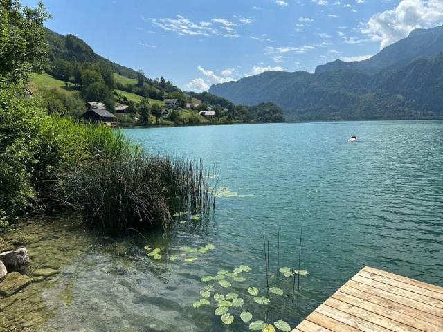 3 Schlafzimmer Wohnung Oberösterreich Oberösterreich 105470357