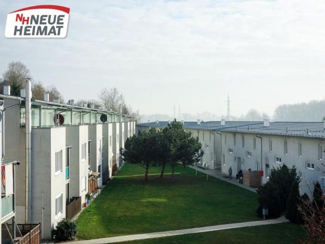 3 Schlafzimmer Wohnung Oberösterreich Oberösterreich 105994306